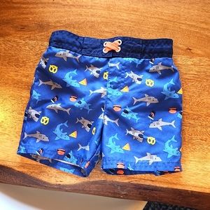 Swim Trunks and Rashguard